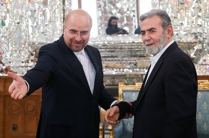 ghalibaf nekhale (1)