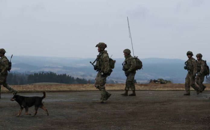 NATO (1)