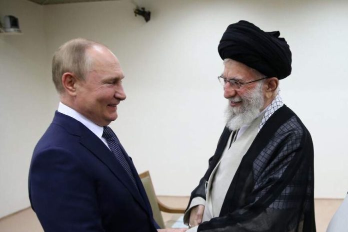 Putin (1)