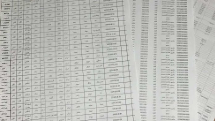 لیست افرادی که میبایست با دادههای مراکز امنیتی آلمان تطبیق داده شوند / عکس خصوصی از روزنامه بیلد