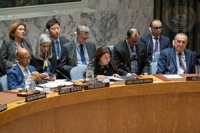 UN Security Council meeting (1)