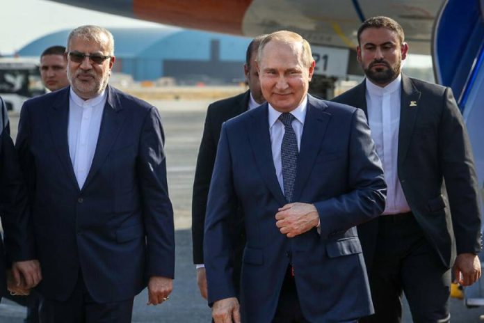 Putin (1)