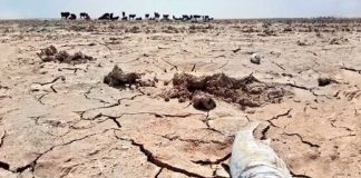 «کمبود مطلق آب»، تهدید جدیدی برای ساکنان ایران