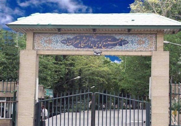 کوی دانشگاه تهران