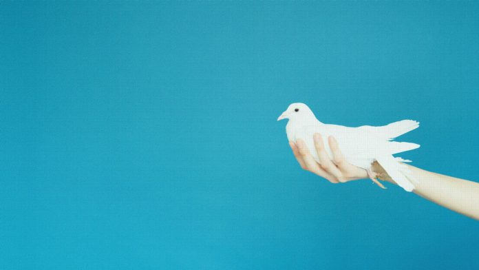 صلح آرامش پرنده صلح سرمقاله پهلوی برمیگرده